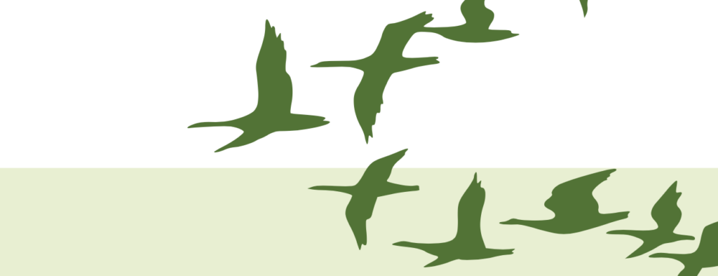 Fåglar som flyger i formation. Illustration.